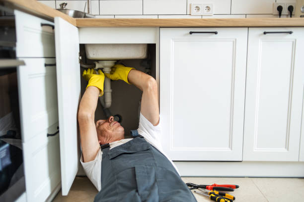 Best Residential Plumbing Services  in Dodge Center, MN