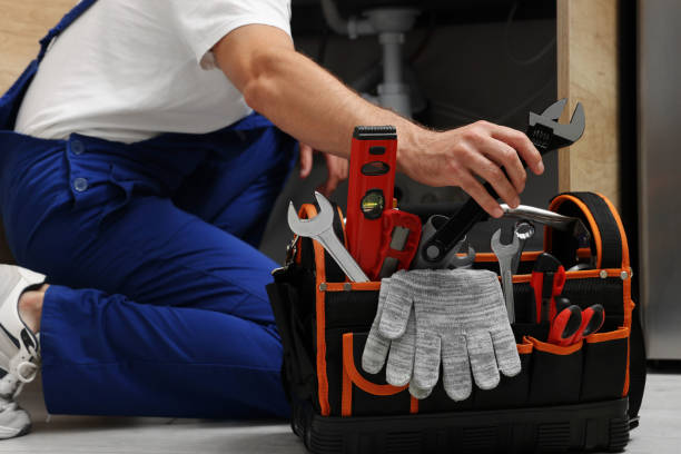 Best Toilet Repair Services  in Dodge Center, MN