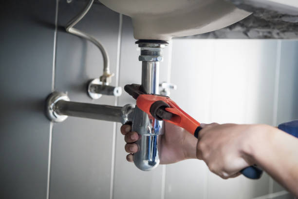 Best Plumbing Services Near Me  in Dodge Center, MN